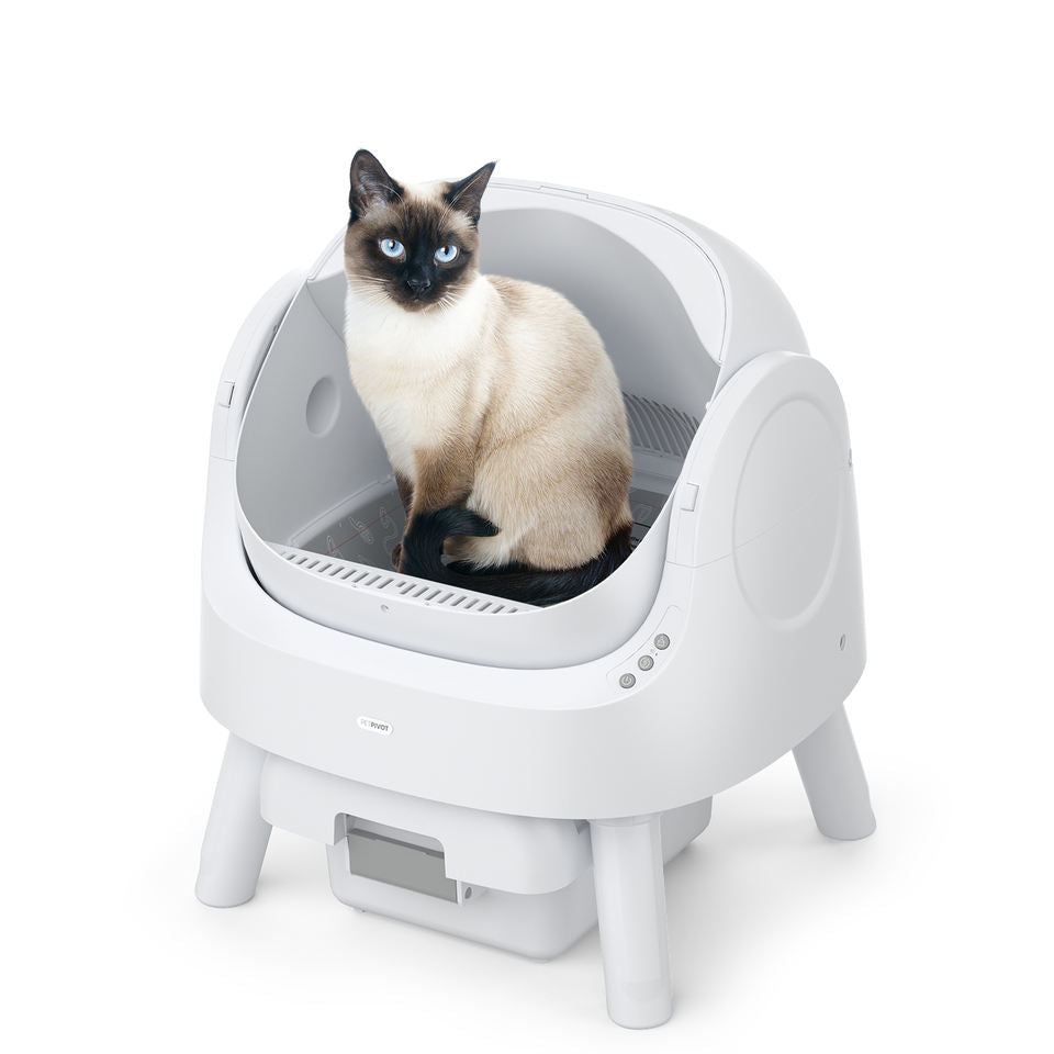 Self-Cleaning Cat Litter Box TM