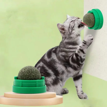 Catnip Wall Play & Scratch Toy™