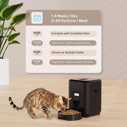PetCare Automatic Feeder™